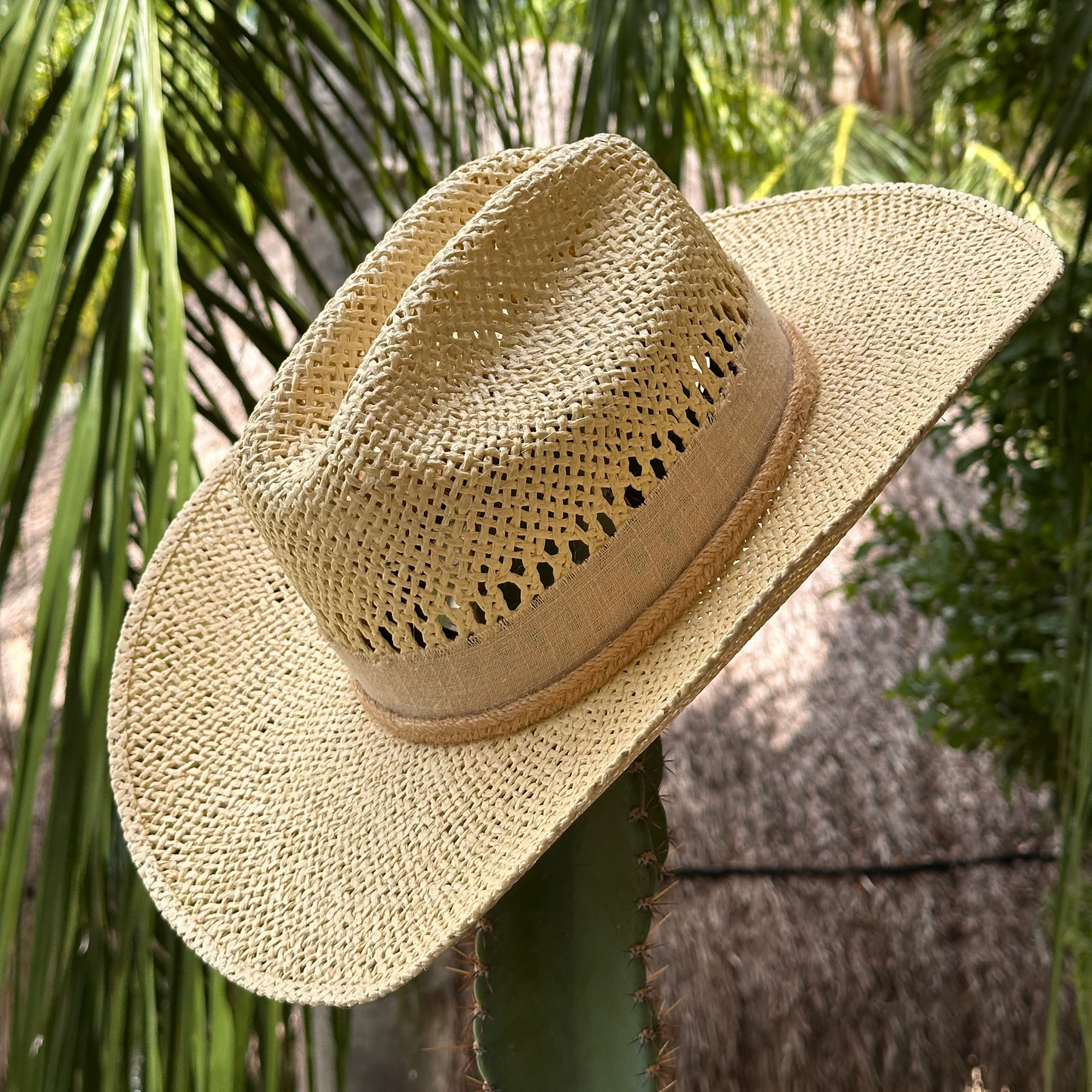 Desert Cowboy