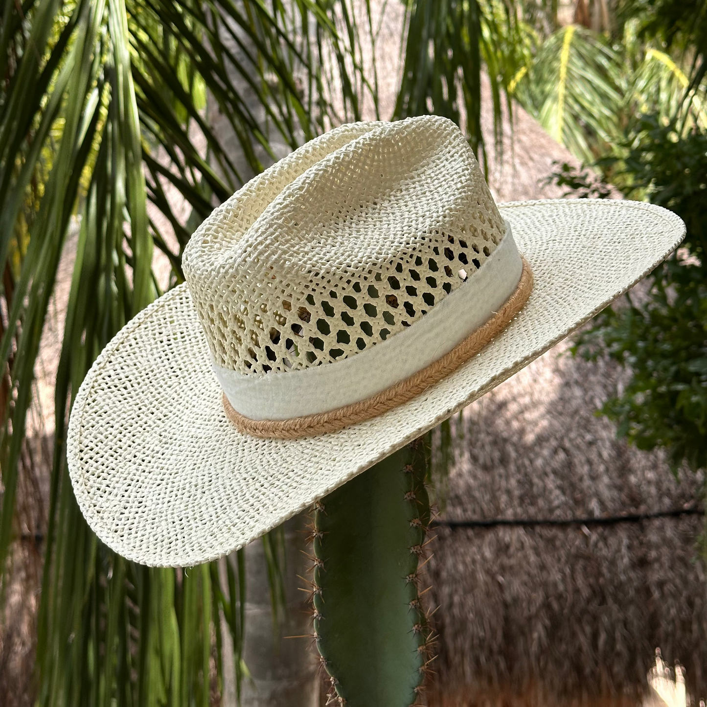 Desert Cowboy