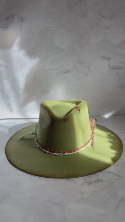 Pistachio Dreams